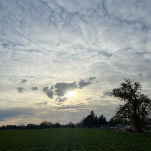 Meet your Posher, Carla